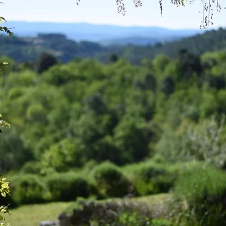 La Haute Maurelle Bed & Breakfast *